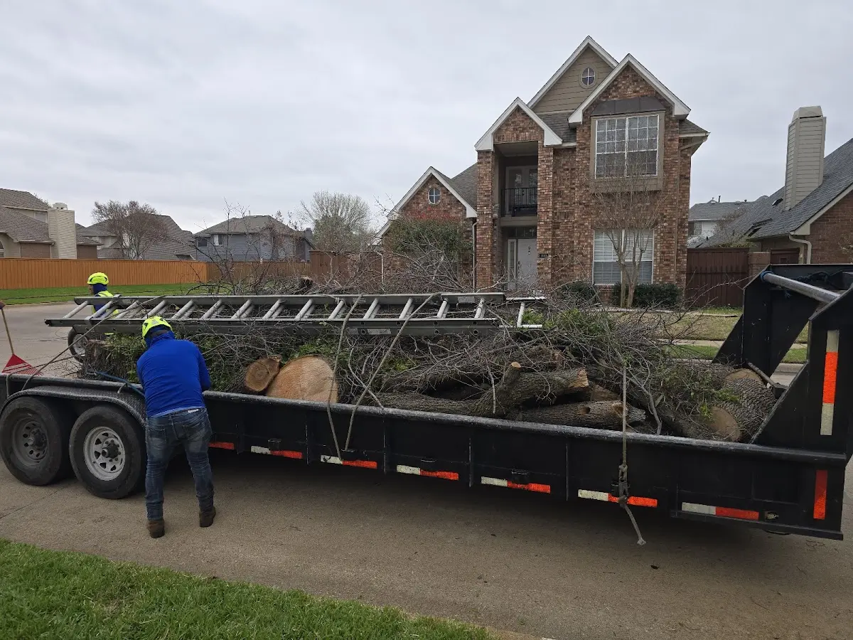 Expert Crown Reduction with proper safety equipment in Burr Hill